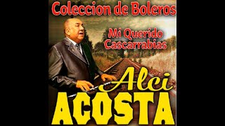 Alci Acosta No Renunciare [upl. by Allekram482]