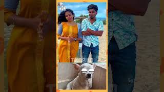 En mela anbu irundha thooku potu thongu🤣🤣  Tikos reaction  Tikopiko fun shorts tikopiko pets [upl. by Eitsrik]