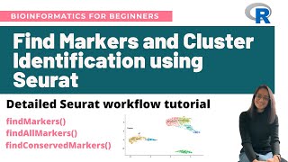 Find markers and cluster identification in singlecell RNASeq using Seurat  Workflow tutorial [upl. by Billie]