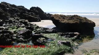 Walk along the beach from Chapel Porth to Porthtowan in Cornwall [upl. by Phylis224]