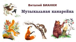 ВБианки quotМузыкальная канарейкаquot  Рассказы и сказки Бианки  Слушать [upl. by Aratihc]