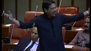 Syed Faisal Raza Abidi Last Speech In The Senate [upl. by Nava]