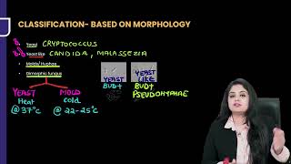 Mycology Microbiology Rapid Revision For FMGE amp NEET PG By Dr Preeti Sharma [upl. by Cressy]