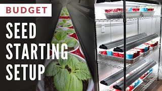 BUDGET Indoor Seed Starting Setup THAT WORKS [upl. by Ardnuat383]