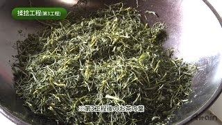 The process of making Sencha✿JAPANESE HOME COOKING✪How to Japan TV [upl. by Ifar433]