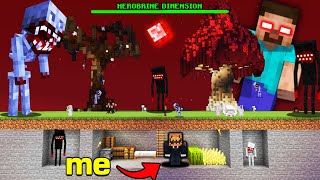 I WENT TO HEROBRINE WORLD IN MINECRAFT [upl. by Proudlove]