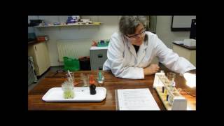 Hill Reaction experiment [upl. by Conrado]