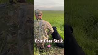 British Deer Stalking britishroedeer britishdeerhunt britishgundog 🇬🇧 [upl. by Ahsetra]