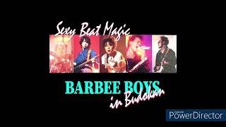 BABEE BOYS BARBEE BOYS IN 武道館 Sexy Beat Magic 1986年11月4日に日本武道館で行われたバービーボーイズのLIVE 音源のみ [upl. by Akkire]