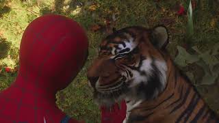 Marvel SpiderMan 2 Oque aconteceu com DIMA  O Tigre do Kravel apos o final do game [upl. by Wenda845]