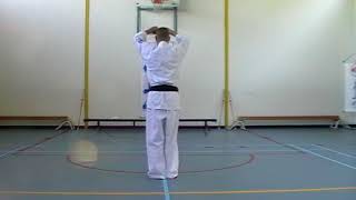 Bassai dai Kata Sensei Marcel Smit Kyokushin Karate [upl. by Anialem131]