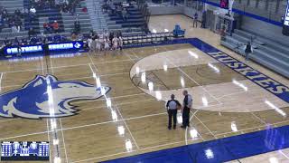 Owatonna High School vs Farmington JV Womens Varsity Basketball [upl. by Eselahc]