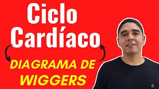 Ciclo Cardíaco e Diagrama de Wiggers Sistema Cardíaco 23 [upl. by Letnuhs]