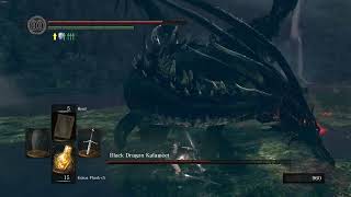 Black Dragon Kalameet Boss Fight  Dark Souls Remastered Blind Run [upl. by Ripp]