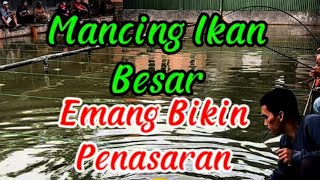 EMANG SEPENASARAN DAN SECANDU ITU YA MANCING IKAN BESAR [upl. by Oiludbo74]