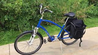 Bike Review Electra Townie Mens Bicycle [upl. by Esilahc]