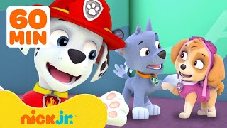 PAW Patrol The Best of Friends [upl. by Ahsiret]