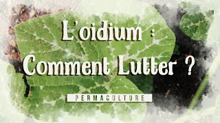 LOidium  Cest quoi comment lutter contre [upl. by Cochard347]