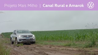 Projeto Mais Milho  Canal Rural amp Amarok  2020 [upl. by Tychonn983]