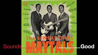 The Maytals amp Toots  Bam Bam  1966 [upl. by Tempest771]