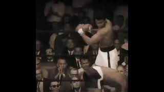 Muhammad Ali Phantom Punch shorts [upl. by Frisse]