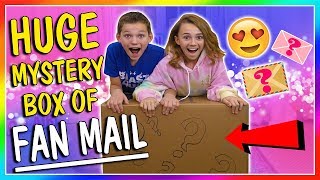 HUGE MYSTERY BOX OF FAN MAIL  We Are The Davises [upl. by Ingham]