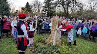 Osadzanie Chochoła w Dworku Rydlówka  Wesele Stanisława Wyspiańskiego  Kapela z Bronowic [upl. by Moriyama718]