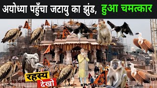 अयोध्या पहुँचा जटायु का झुंड लोगो को याद आया रामायण  Jatayu In Ayodhya 2024  Vulture In Ayodhya [upl. by Culley]