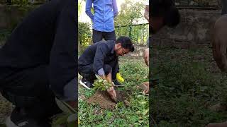 Tree plantation trees plantation friends reels allahabad trending bollywood [upl. by Motch]