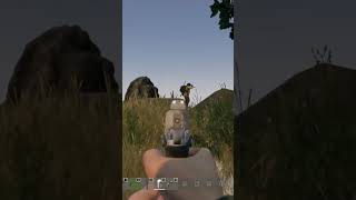 This is DayZ in a Nutshell shorts [upl. by Ococ]