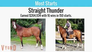 2019 Thoroughbred Makeover By The Numbers [upl. by Ede878]