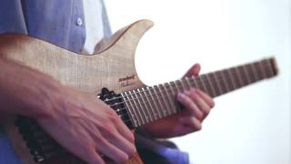 Plini  strandberg Boden 6 [upl. by Ramedlav]