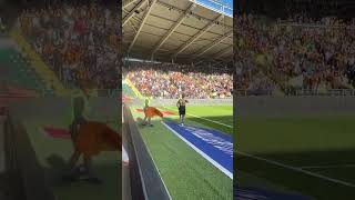 Hullcity vs QPR goal highlights What a magnificent goal for Hullcity shorts football goals fyp [upl. by Lauzon]