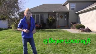 Fall Lawn Recovery Program Steps 2 and 3 [upl. by Jacquelyn]