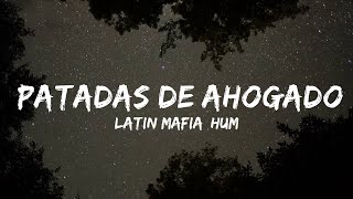 LATIN MAFIA Humbe  Patadas de Ahogado  25 MIN [upl. by Schaper]