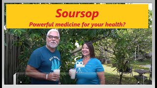 Growing Soursop Drink for your health BENEFITS OF SOURSOP Graviola Guanabana [upl. by Harlene]