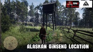 Red Dead Redemption 2 Alaskan Ginseng Location [upl. by Ellebyam731]