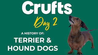 A History of Terrier and Hound Dogs  Crufts 2022 [upl. by Easlehc]