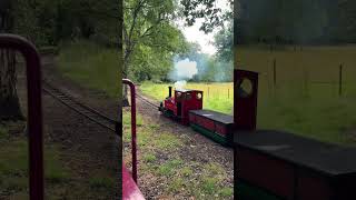 15” Gauge Steam Train Passing at Bressingham Steam Museum train steamengine steamtrain [upl. by Elbam]