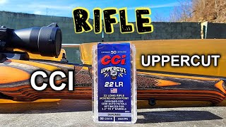 CCI Uppercut 22LR RIFLE Ballistic Gel Test amp Review [upl. by Sarita]