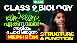 Class 9 Biology  Nephron Structure and Function  Xylem Class 9 [upl. by Asilej]