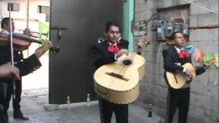 EL CARRETERO CON EL quot MARIACHI SOL Y ORO quot [upl. by Ahsait]