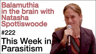 TWiP 222 Balamuthia in the brain with Natasha Spottiswoode [upl. by Licko535]