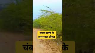 चंबल घाटी के खतरनाक बीहड़ history of chambal ghati chambal chambalghati shorts [upl. by Charla]