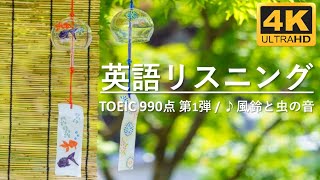 【TOEIC 990点】英語聞き流し！最重要単語・頻出フレーズ100選！4Kの大自然の中でリラックス！ [upl. by Bethel82]