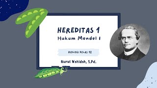 HEREDITAS HUKUM MENDEL 1 [upl. by Caprice]