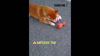 Squeaky Cartoon Animal Chew Dog Toy🐶pettoys toys washable chew squeaky cartoontoy [upl. by Acinaj356]