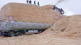 Extreme Way They Load Trucks With Tons of Sugarcane Waste [upl. by Ahsinak666]