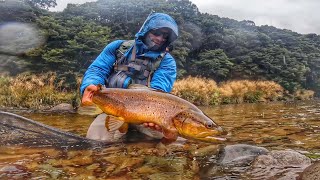 SPECTACULAR BROWN TROUT in the RAIN  South Island Diaries 8 [upl. by Bat749]