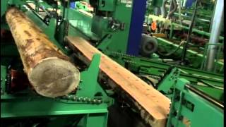 OHI Twin Band Sawing Machine [upl. by Papageno472]